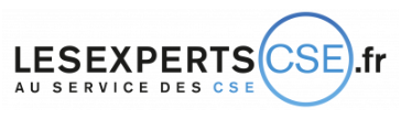 Les experts CSE